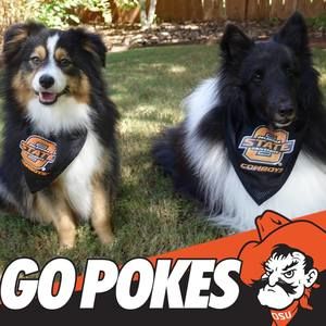 Meet your Posher, Phyllis